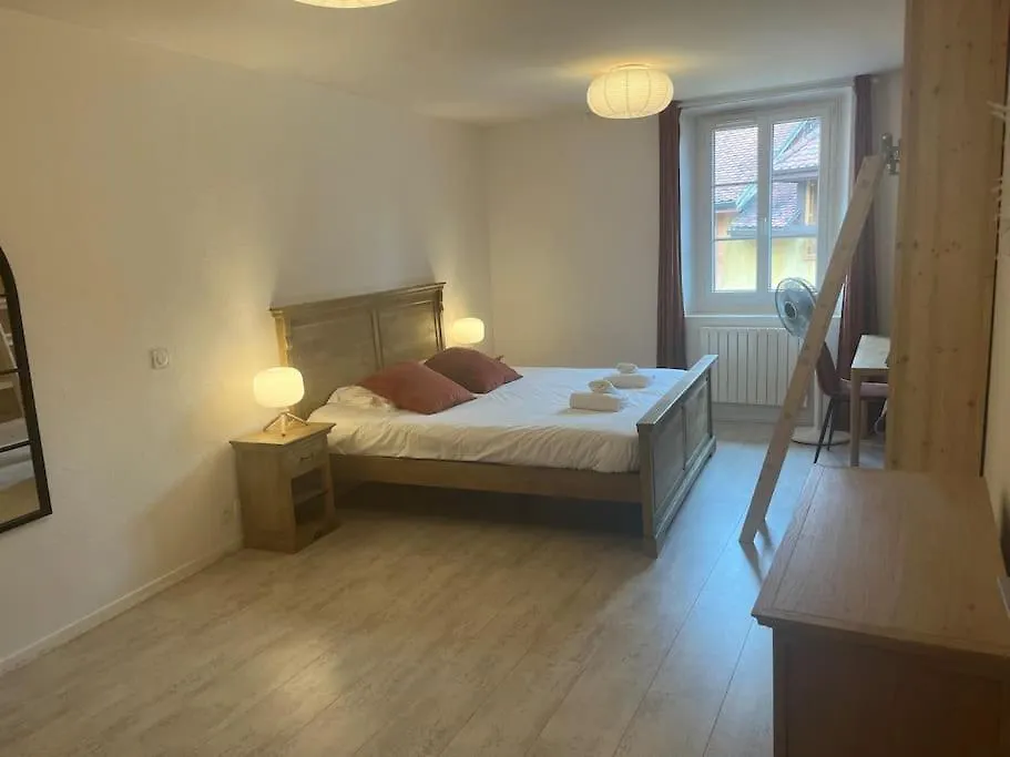 Daire L'Escalier Du Chateau T4 Duplex 9 Couchages 4* Annecy Fransa