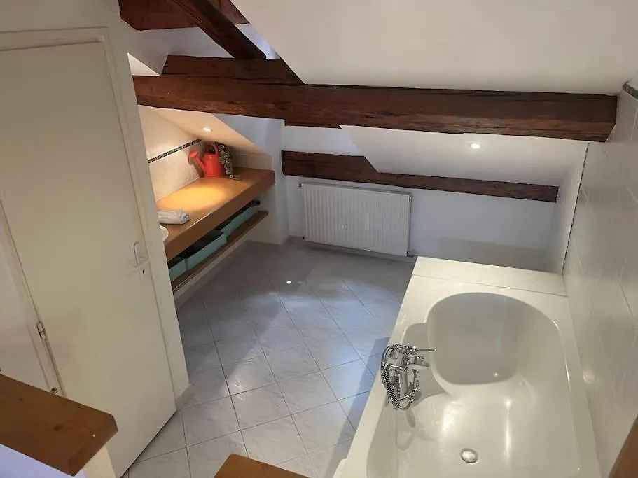 Daire L'Escalier Du Chateau T4 Duplex 9 Couchages 4* Annecy