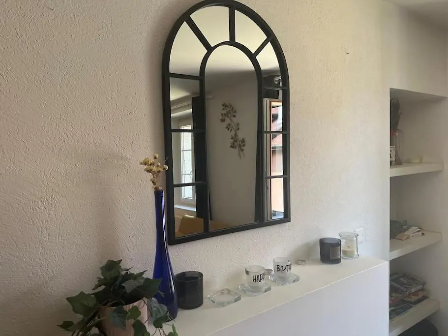 L'Escalier Du Chateau T4 Duplex 9 Couchages 4* Annecy Daire